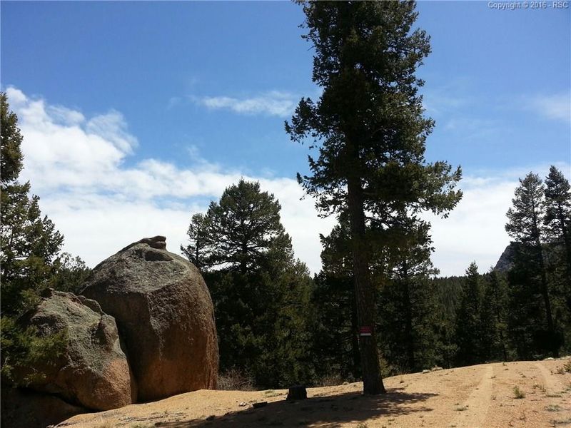 705 Steep Rd, Manitou Springs, CO 80829