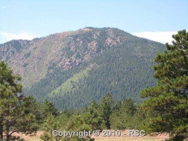 707 Forest View Way, Monument, CO 80132