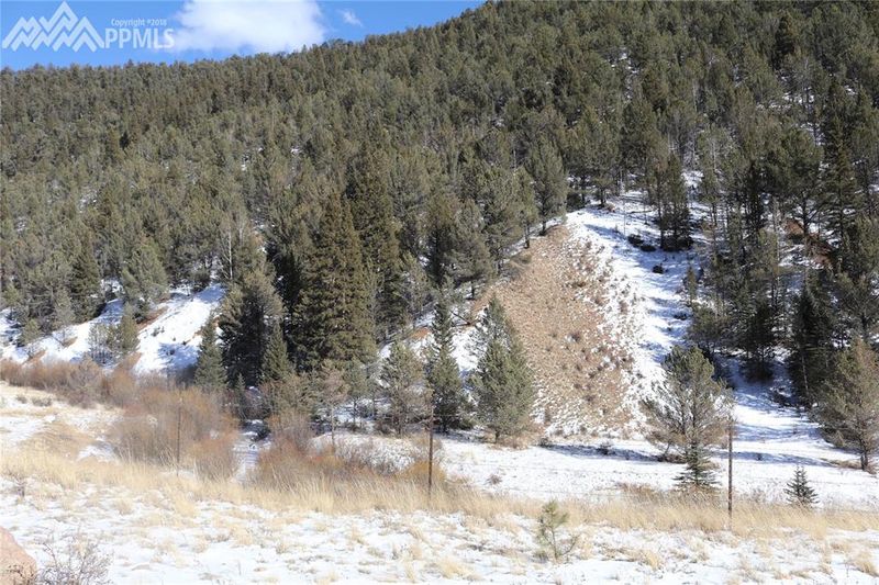 7072 County Road 61, Divide, CO 80814