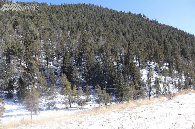 7072 County Road 61, Divide, CO 80814