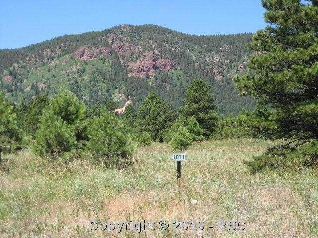 708 Forest View Way, Monument, CO 80132
