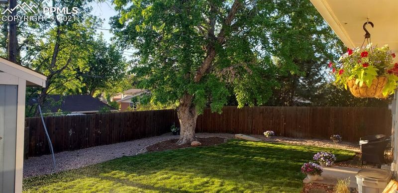 708 Potter Dr, Colorado Springs, CO 80909