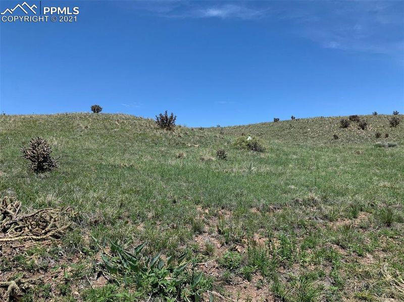7110 Ghost Walk Point, Fountain, CO 80817