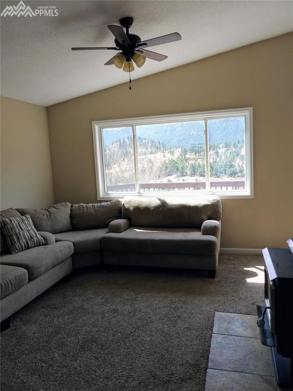 7110 Lucky 4 Rd, Green Mountain Falls, CO 80819