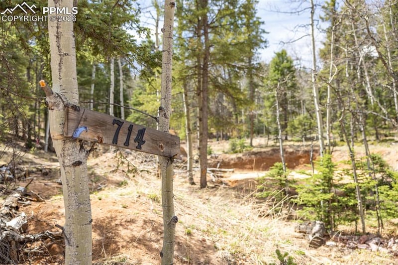 714 Will Stutley Dr, Divide, CO 80814