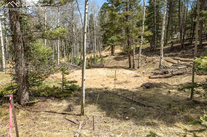 714 Will Stutley Dr, Divide, CO 80814