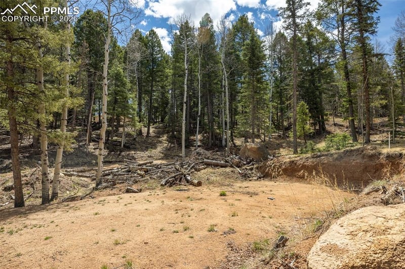 714 Will Stutley Dr, Divide, CO 80814