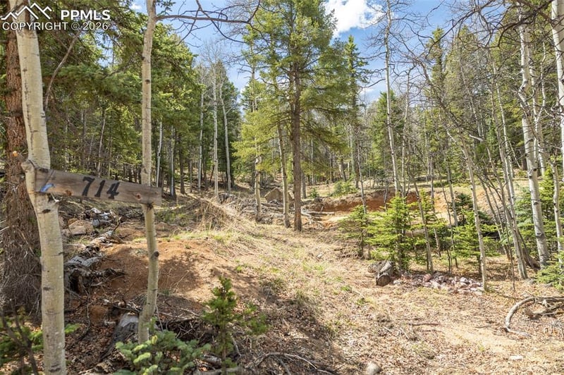 714 Will Stutley Dr, Divide, CO 80814