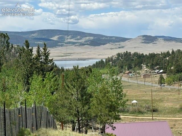 7142 County Road 92, Lake George, CO 80827