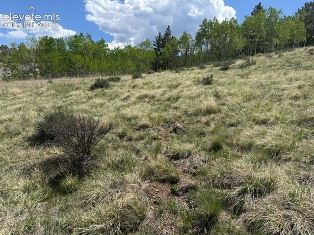 7142 County Road 92, Lake George, CO 80827