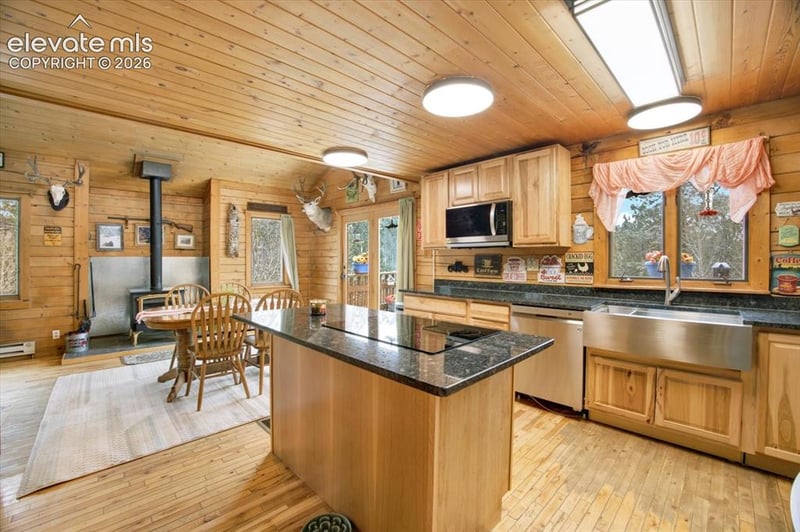 715 Bison Creek Trl, Florissant, CO 80816