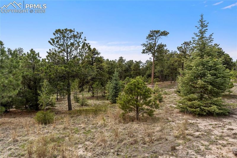 7165 Mcshane Rd, Colorado Springs, CO 80908
