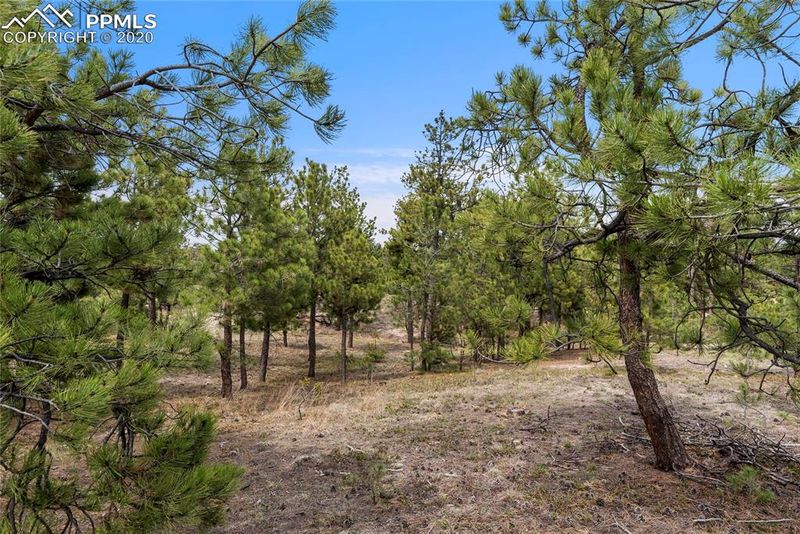 7165 Mcshane Rd, Colorado Springs, CO 80908