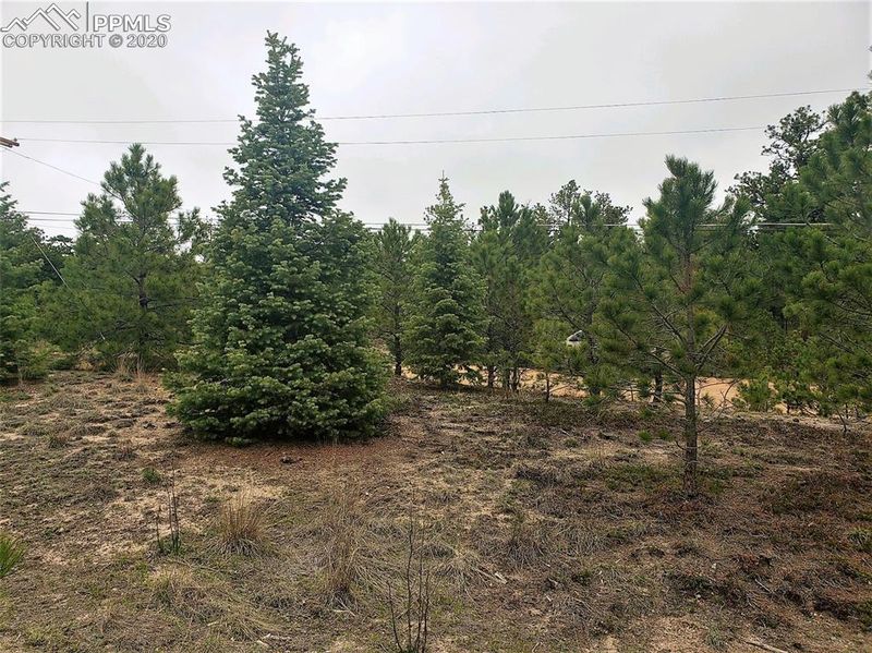 7165 Mcshane Rd, Colorado Springs, CO 80908