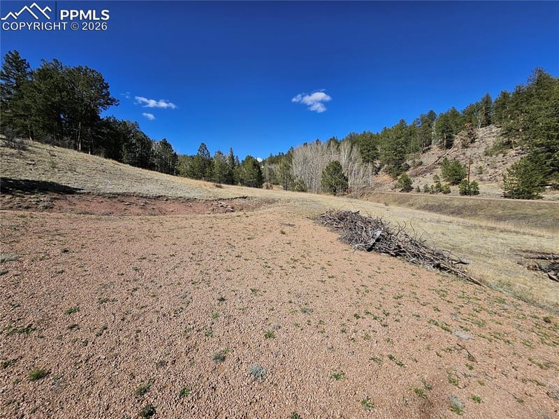 717 Canyon Dr, Florissant, CO 80816