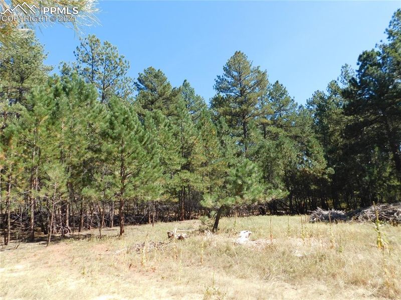 7170 Independence Ct, Larkspur, CO 80118