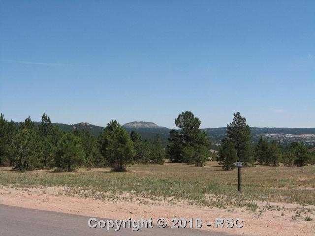 719 Forest View Way, Monument, CO 80132