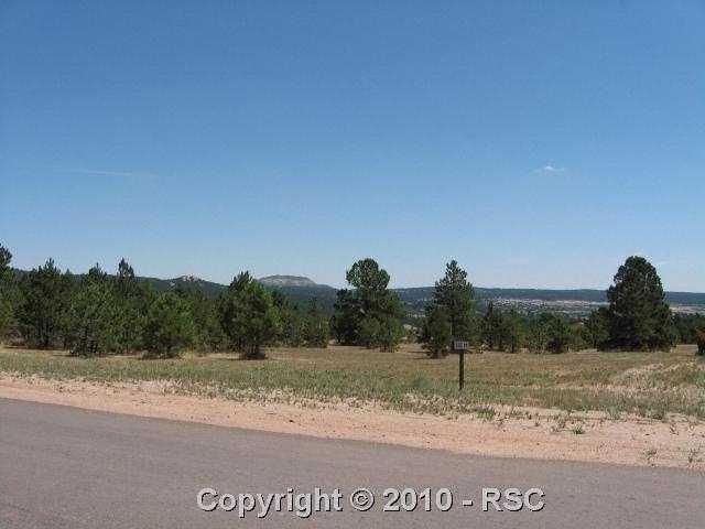 719 Forest View Way, Monument, CO 80132