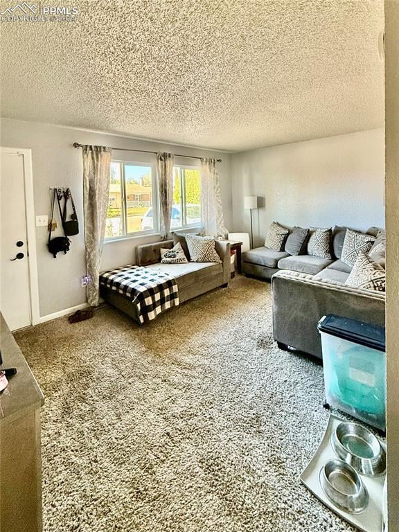 7245 Hermits Hollow Ct, Colorado Springs, CO 80911