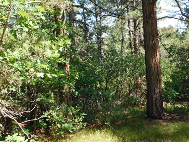 725 Weston Rd, Larkspur, CO 80118
