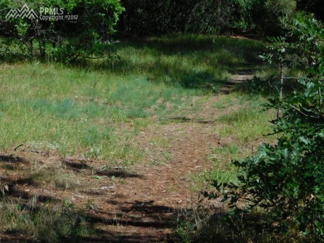 725 Weston Rd, Larkspur, CO 80118