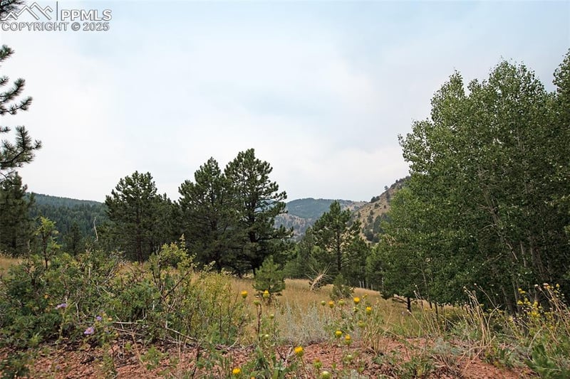 726 Copper Mountain Dr, Cripple Creek, CO 80813