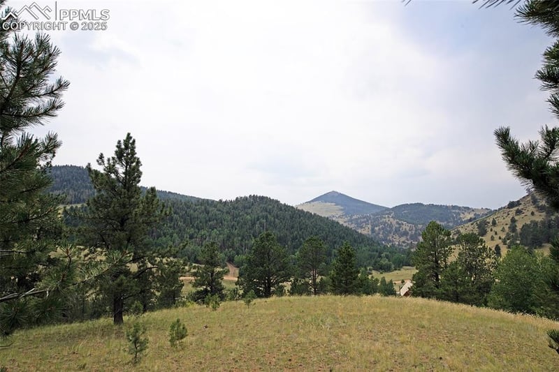726 Copper Mountain Dr, Cripple Creek, CO 80813