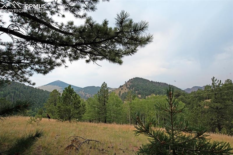 726 Copper Mountain Dr, Cripple Creek, CO 80813