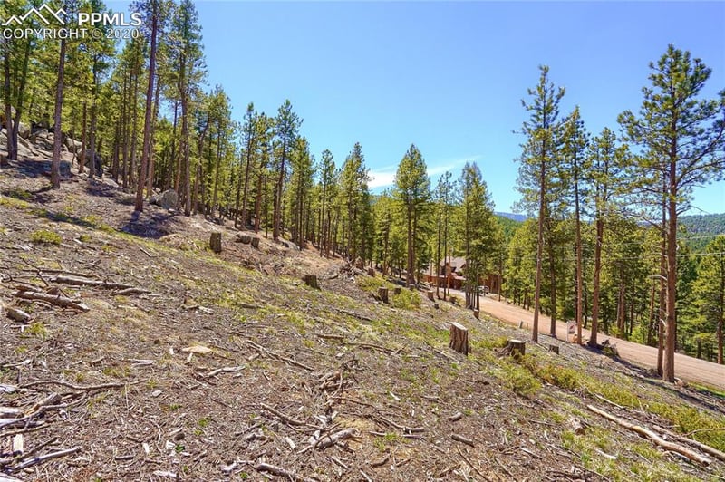 7263 Plowsher Way, Morrison, CO 80465