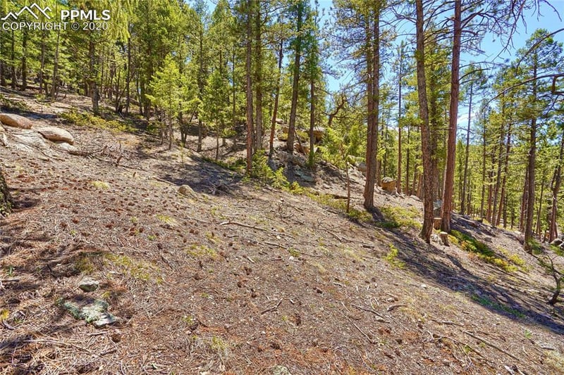 7263 Plowsher Way, Morrison, CO 80465