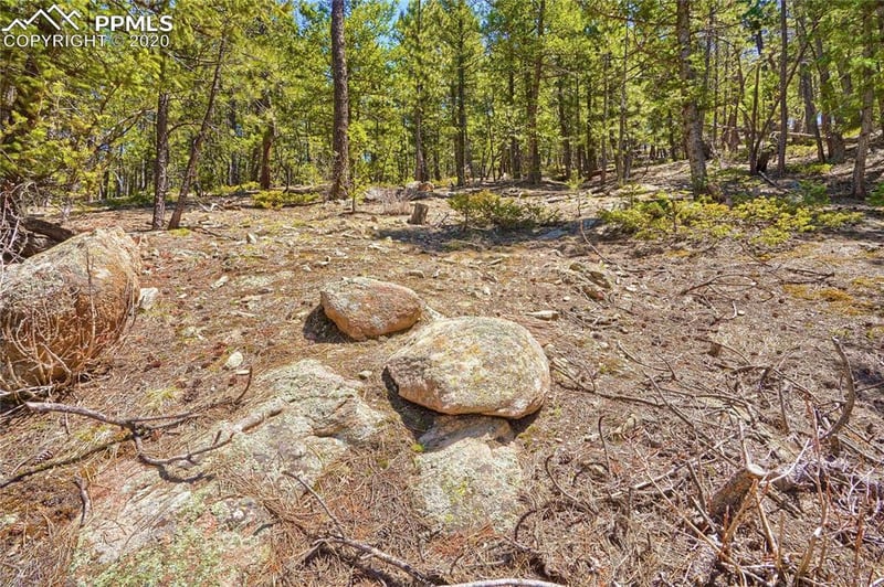 7263 Plowsher Way, Morrison, CO 80465