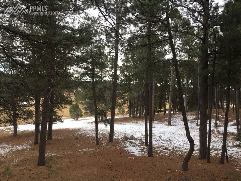 7265 Mathews Dr, Colorado Springs, CO 80908