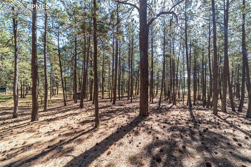 7275 Mcshane Rd, Colorado Springs, CO 80908