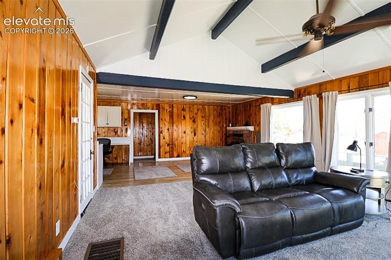 731 Midland Ct, Lake George, CO 80827