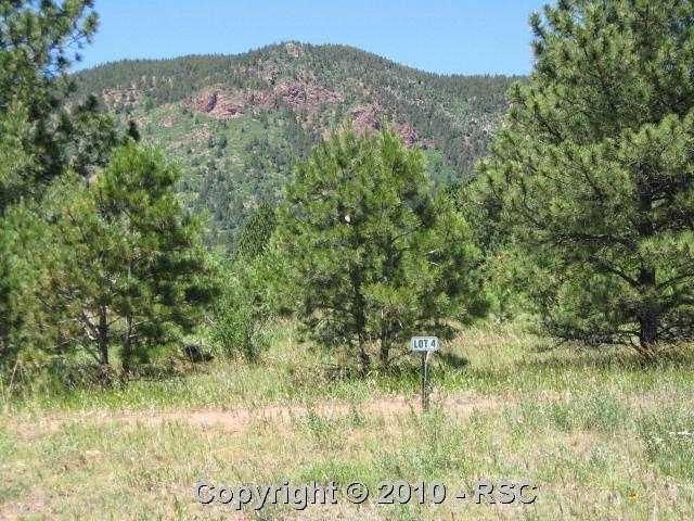 732 Forest View Way, Monument, CO 80132