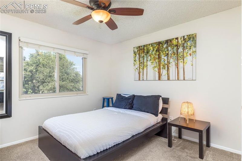 7320 Sneffels St, Colorado Springs, CO 80911