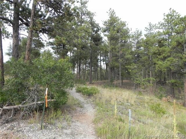 7356 Cameron Cir, Larkspur, CO 80118