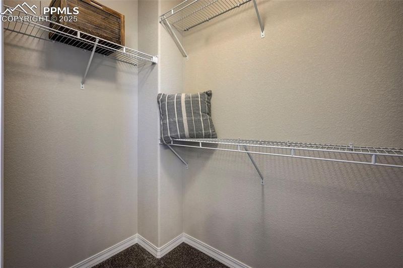 7383 Cornice Point, Colorado Springs, CO 80923