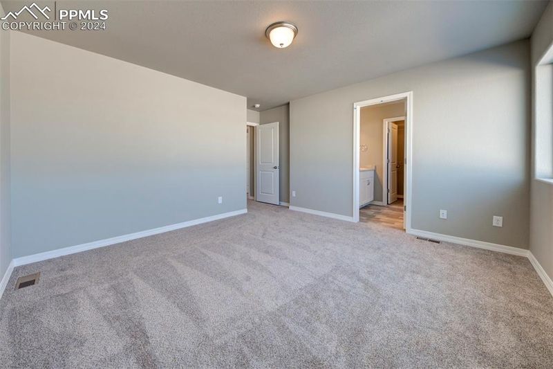 7388 Cornice Point, Colorado Springs, CO 80923