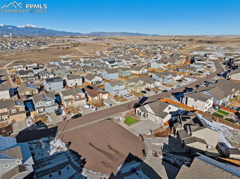 7393 Alpine Daisy Dr, Colorado Springs, CO 80925