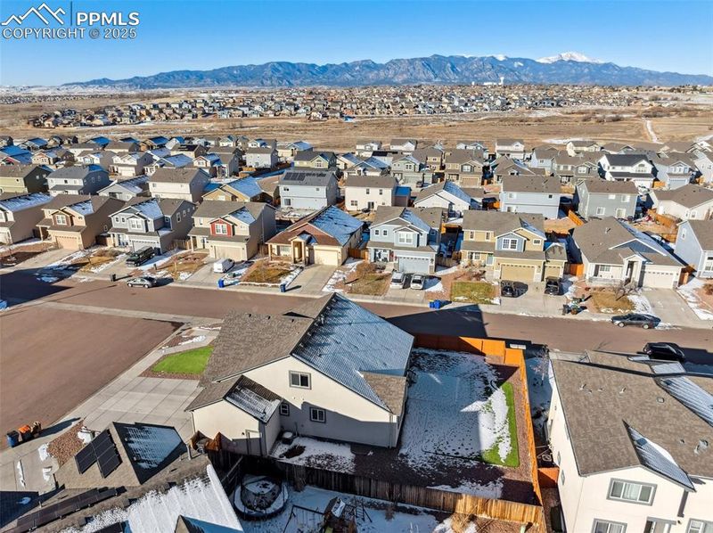 7393 Alpine Daisy Dr, Colorado Springs, CO 80925