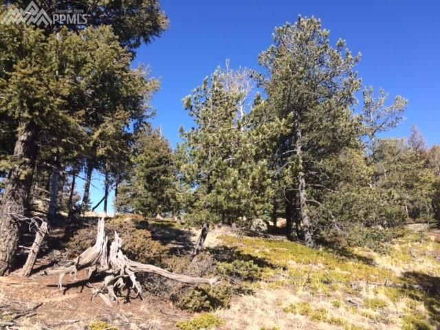 74 Sunrise Peak Rd, Manitou Springs, CO 80904