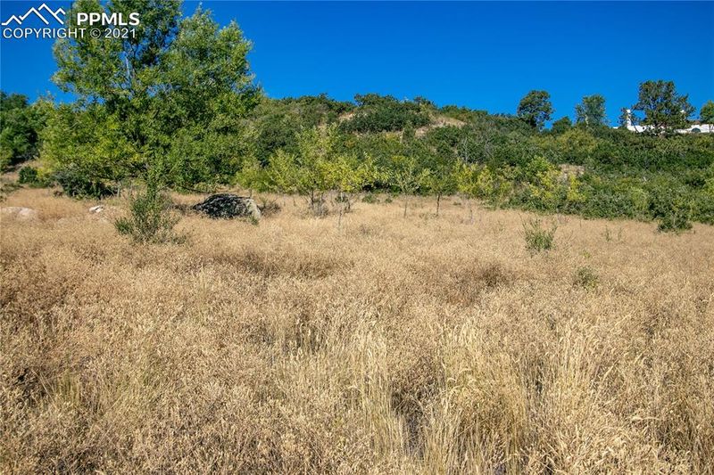740 Overlook Ridge Point, Colorado Springs, CO 80906