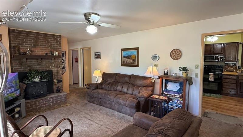 741 Elfin Glen Dr, Divide, CO 80814