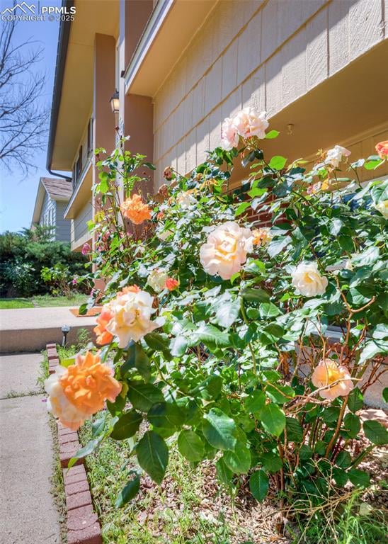 7420 Caballero Ave, Colorado Springs, CO 80911