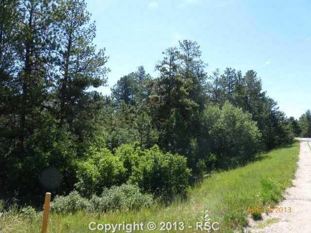 7448 Cameron Cir, Larkspur, CO 80118