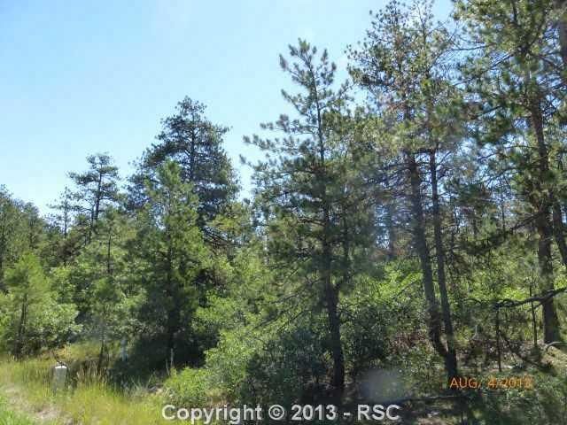 7448 Cameron Cir, Larkspur, CO 80118