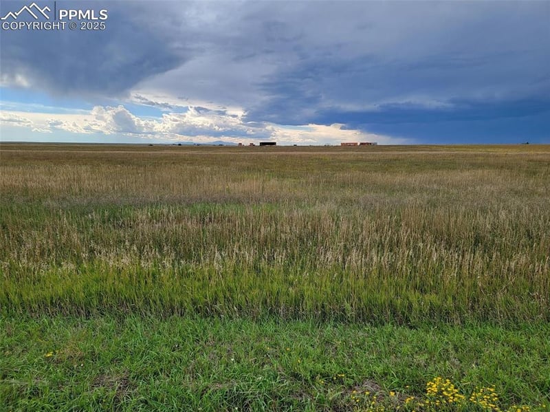 7480 Holtwood Rd, Rush, CO 80833