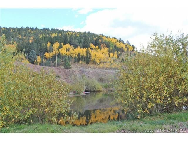 75 County Road 62, Divide, CO 80814