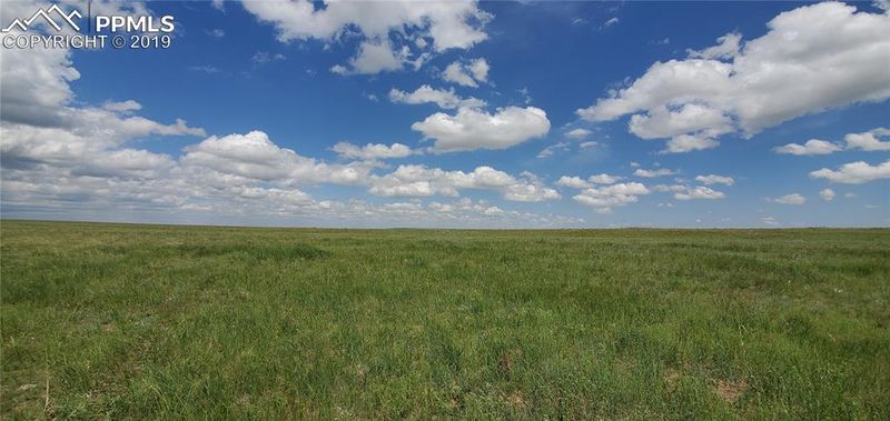7507 Buckskin Ranch Vw, Peyton, CO 80831
